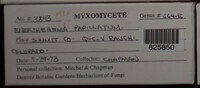 Image Associated With the Occurence